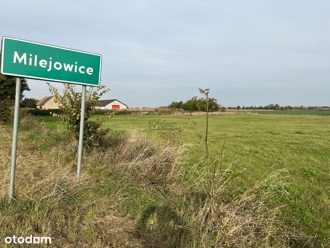 Działka budowlana pod dom jednorodzinny.