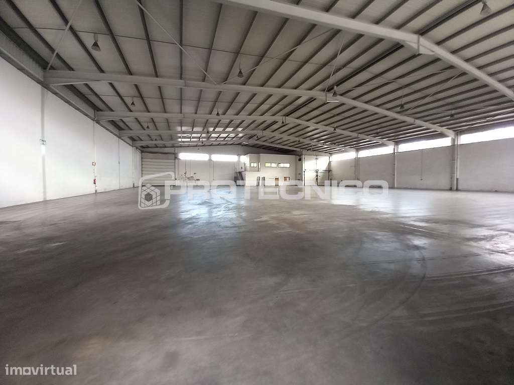 Armazém c/ 1000m2 - Z. I. Albergaria-a-Velha - Grande imagem: 2/23