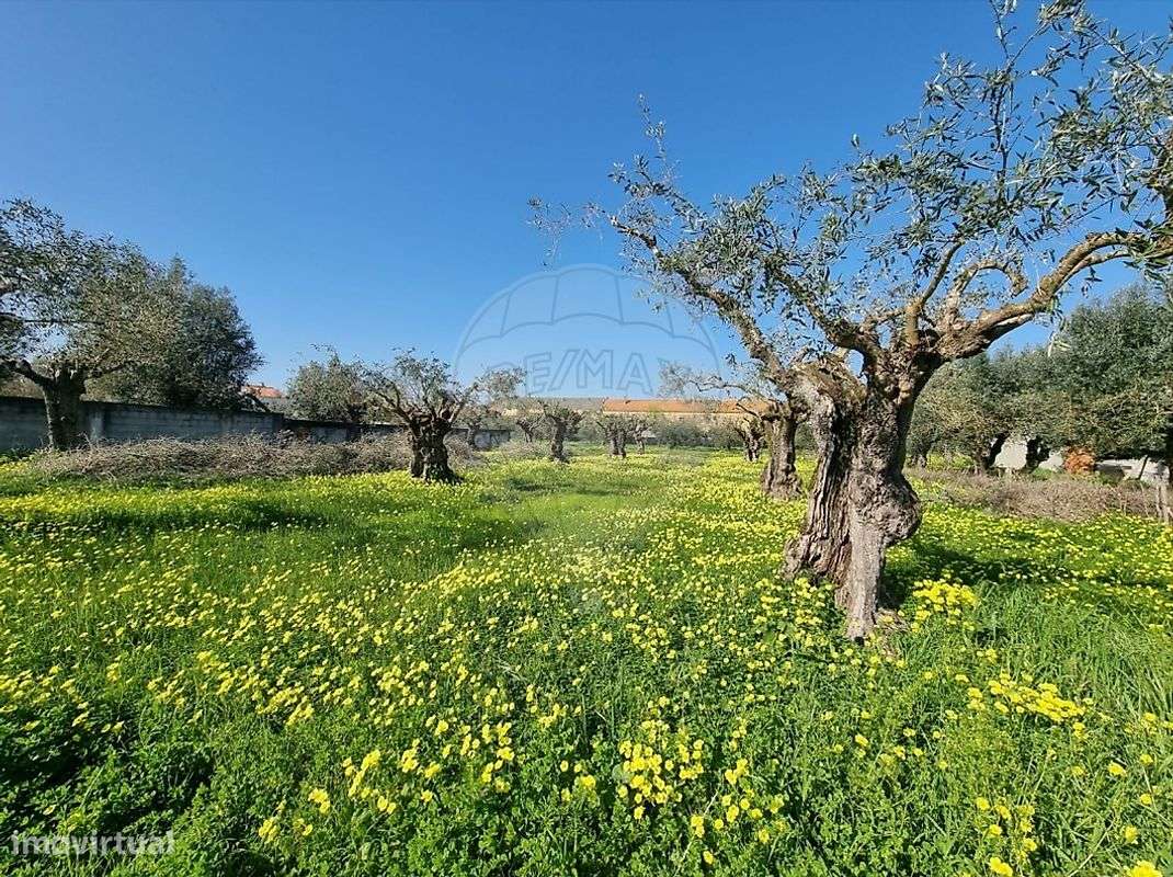 Terreno  para venda - Grande imagem: 5/15