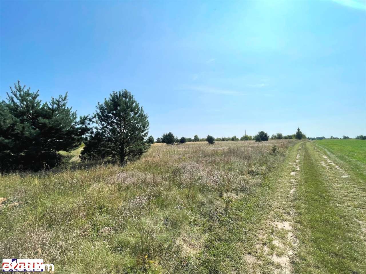 Działka na sprzedaż, Sulejów-4