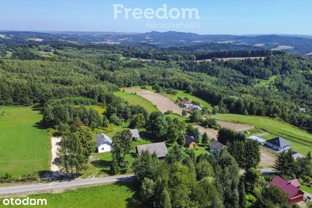 Dom z dużą działką 32 ar – Gębiczyna-16