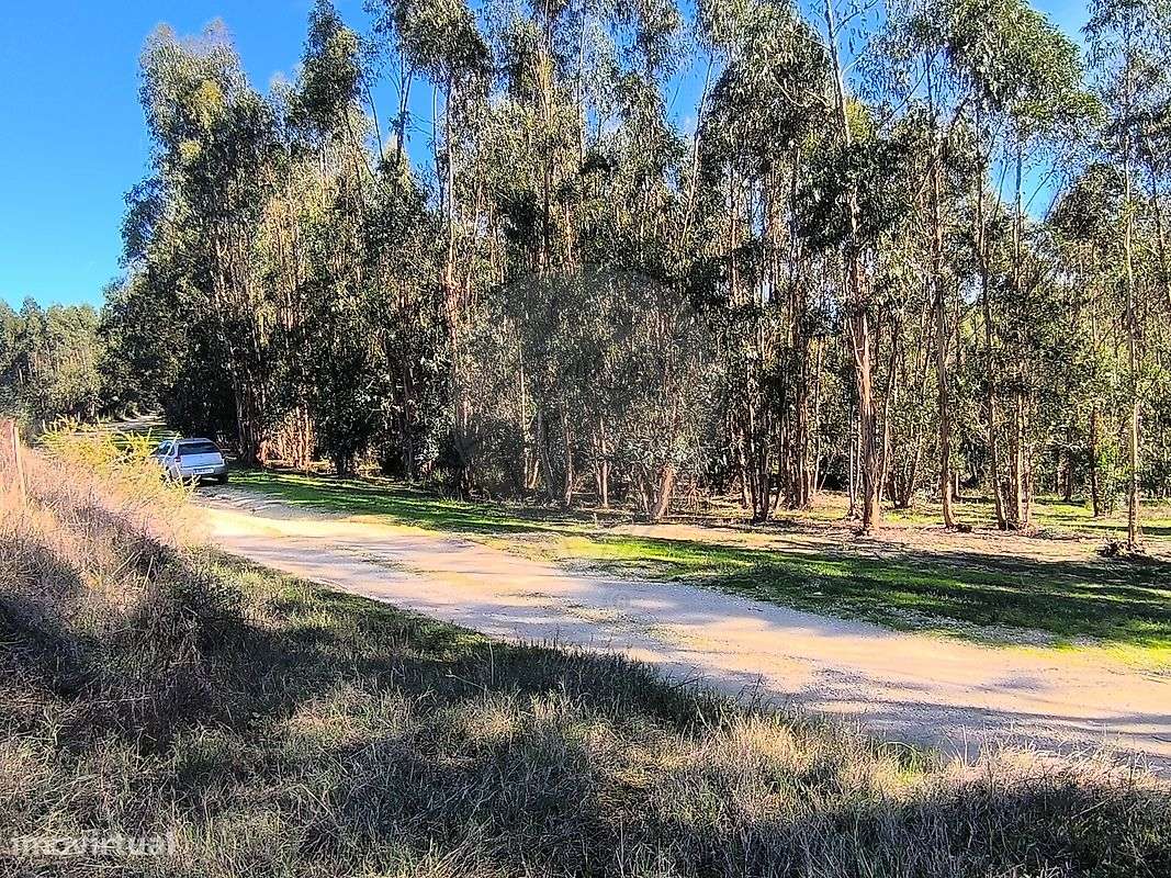 Terreno  para venda - Grande imagem: 5/16