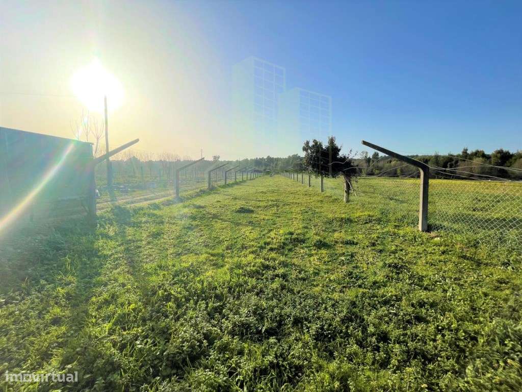 Terreno vedado em Cristelo para Venda - Grande imagem: 4/5