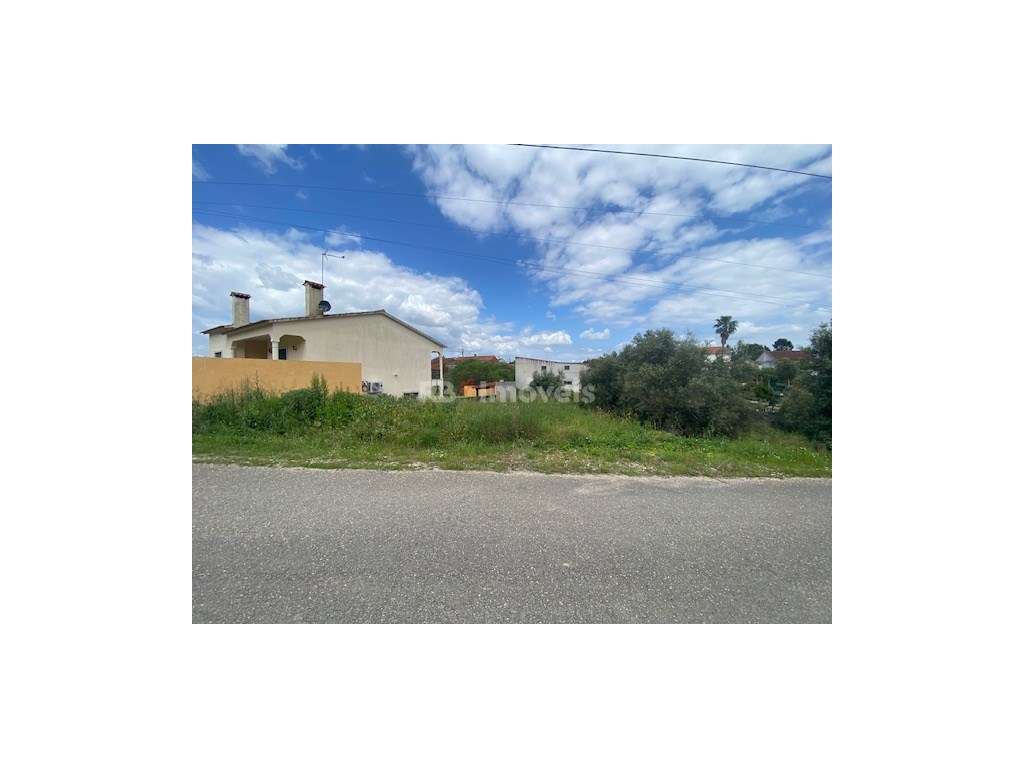 Terreno Rústico com possibilidade de Construção - Carregueiros, Tomar - Grande imagem: 4/7