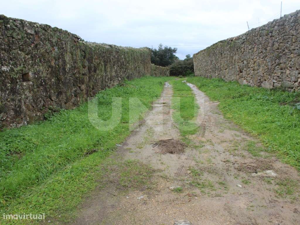 Quintinha com 4250m2 - Grande imagem: 2/21