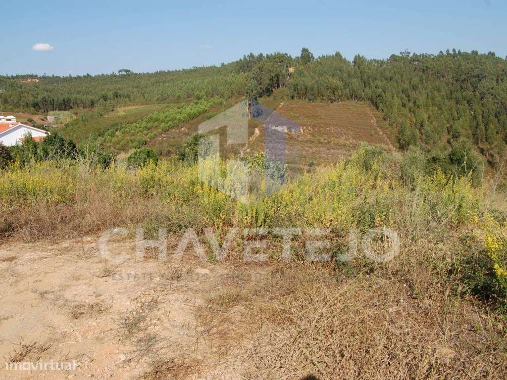 Terreno com viabilidade de construção, perto da Albufeira de Castel... - Grande imagem: 5/8