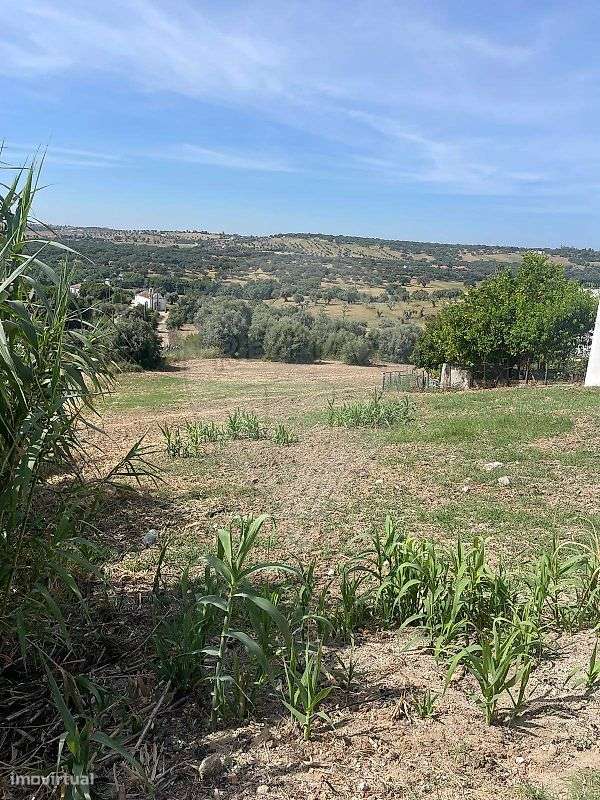 Terreno  para venda-3