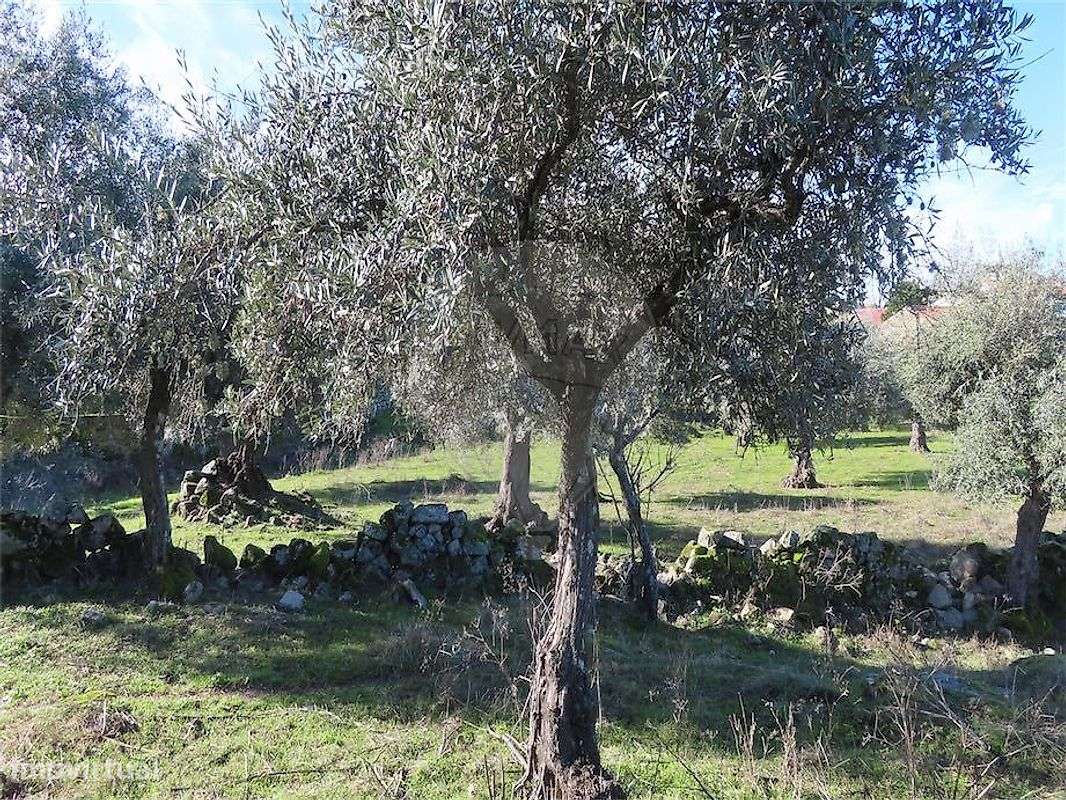 Quinta  para venda - Grande imagem: 5/13