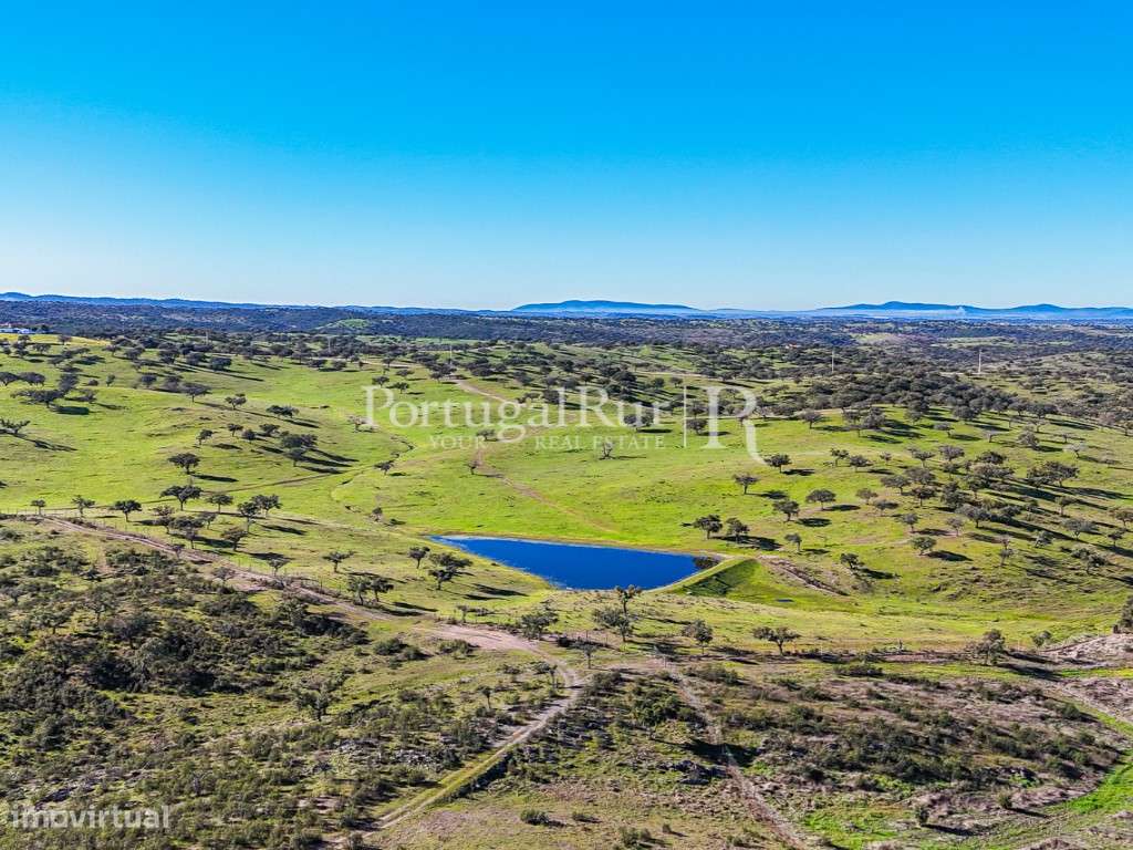 Herdade de Caça Maior com 1000 Hectares + 4 Apartamentos + Anexos-41