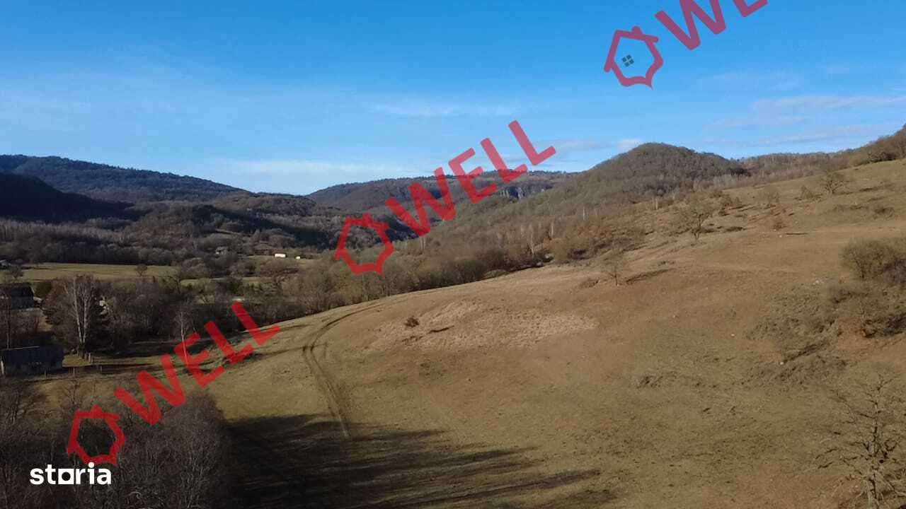 De vânzare teren extravilan în Cheile Vârghişului - Imagine principală: 3/9