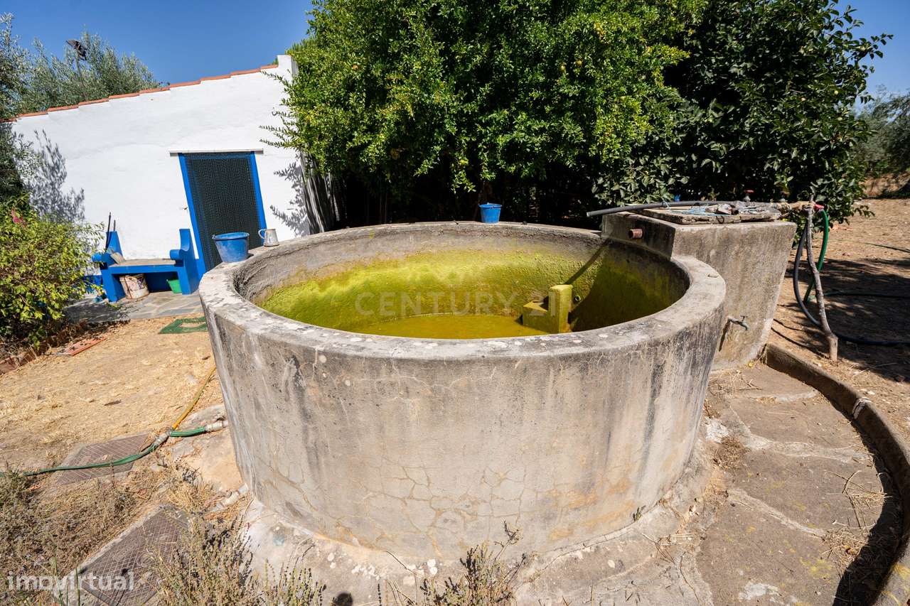 Quinta T3+3  com 4 HA em Borba – Natureza, Produção Agrícola e Confort - Grande imagem: 4/39