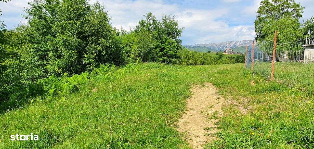 Teren casa de vacanta , Pestera , Brasov-11