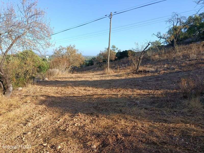 Terreno rústico Boliqueime - Grande imagem: 5/6