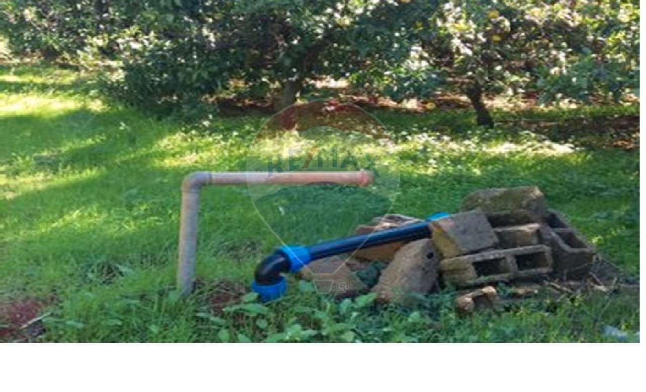 Terreno  para venda - Grande imagem: 2/16