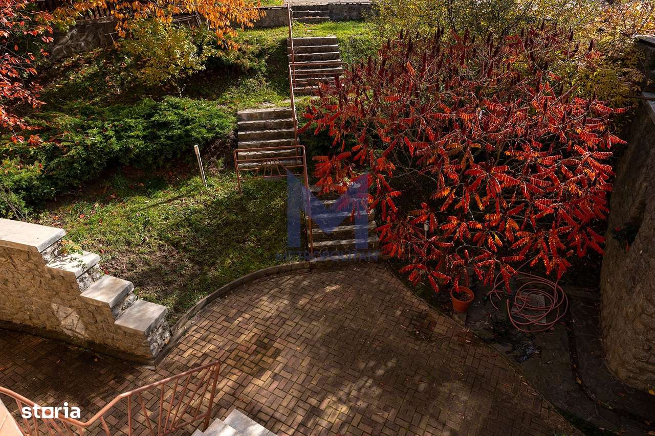 VILĂ 550 mp, LOT 1.006 mp Cartier Europa-4