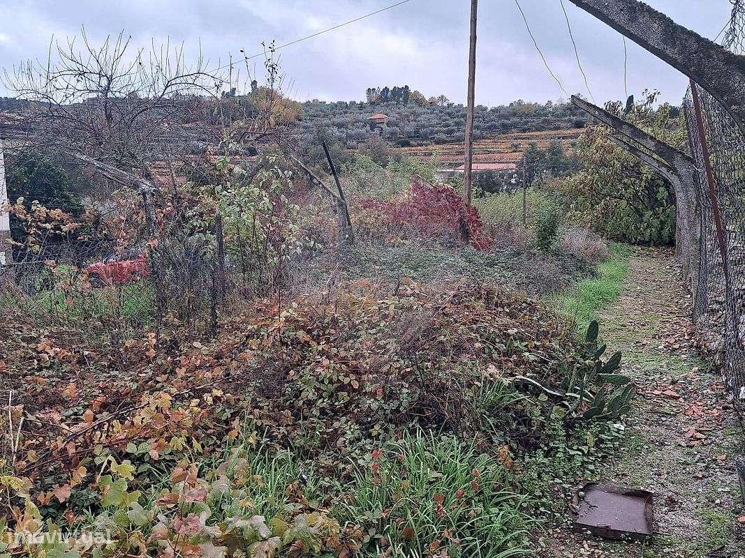 Terreno  para venda - Grande imagem: 5/6