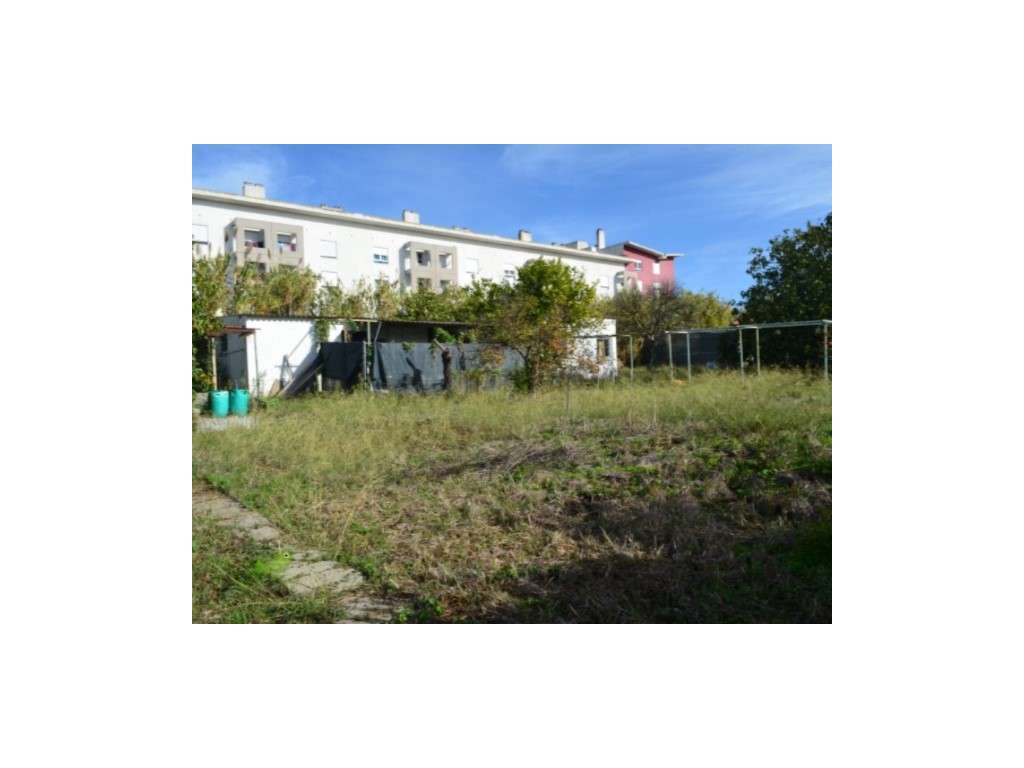 Terreno Rústico - Ajuda - Grande imagem: 5/12