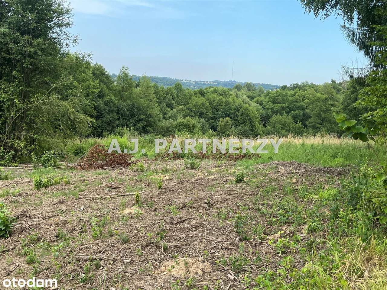 Działka budowlana z mediami w Golkowicach - Pełny obrazek: 5/6