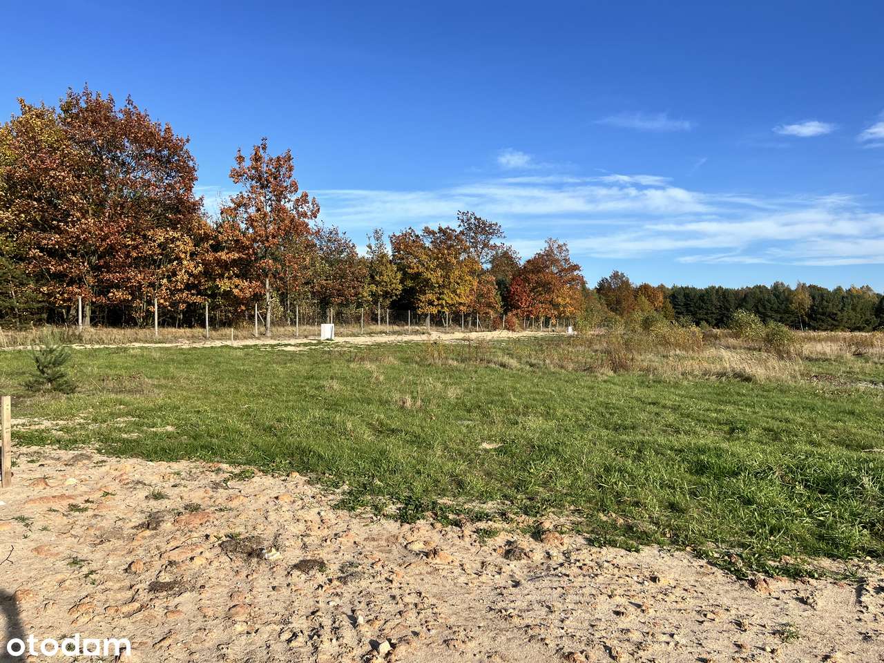 Olszyna - "LEŚNY ZAKĄTEK"-8