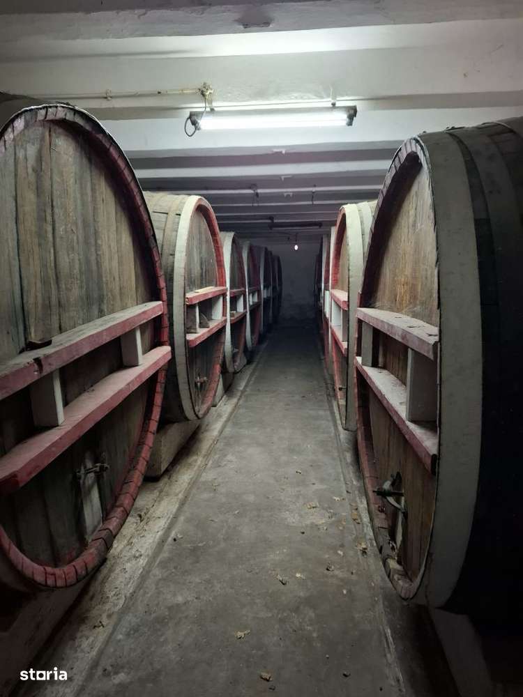 Ferma viticola de vanzare in inima podgoriei Odobesti - Imagine principală: 3/13
