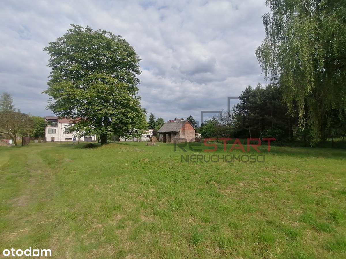 Działka budowlana Budy - Grzybek - Pełny obrazek: 5/9