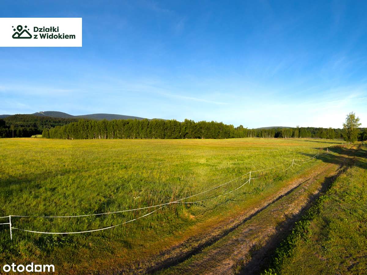 Orłowice -działka budowlana z widokiem na gondolę w Świeradowie Zdroju - Pełny obrazek: 5/5