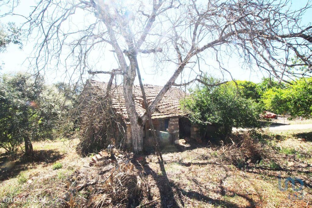 Casa de aldeia T1 em Santarém de 55,00 m2