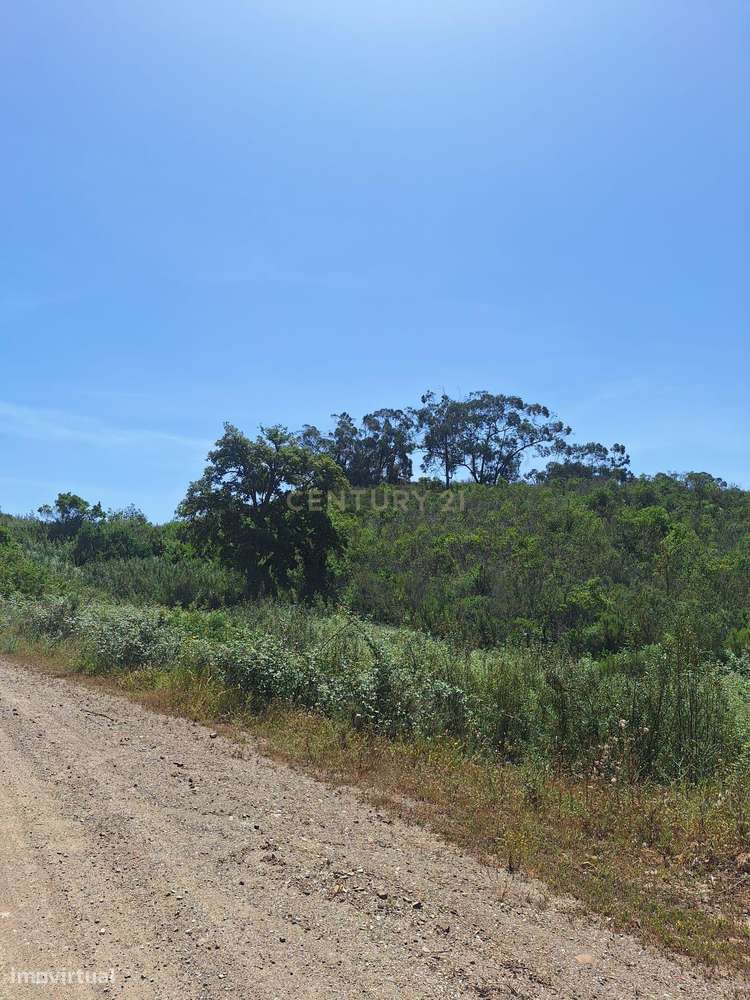 Terreno com 89.030 m² à venda em São Bartolomeu de Messines-17