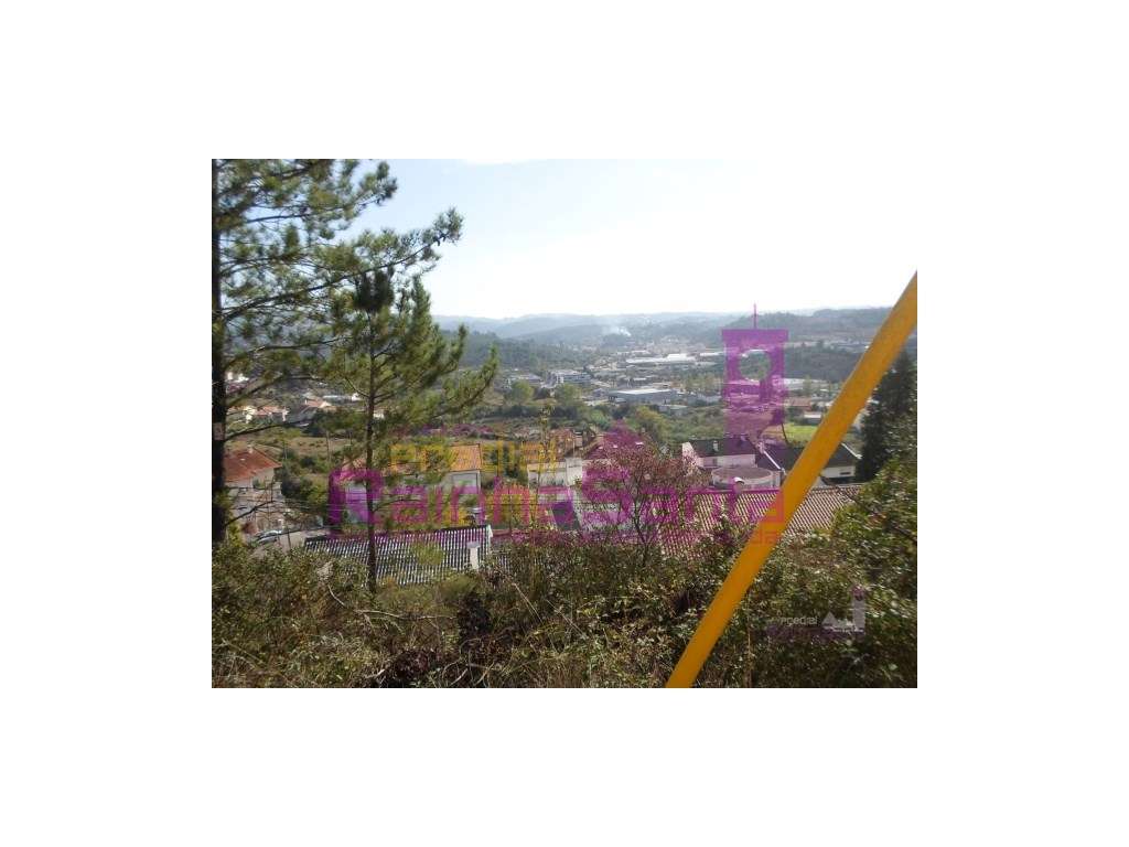Lotes p/ construção de moradias - Eiras - Coimbra - Grande imagem: 4/10