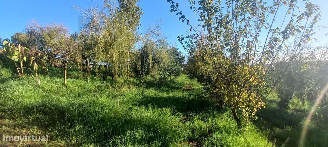 Terreno com Projeto Vivo de Permacultura e Potencial de Construção | P-11