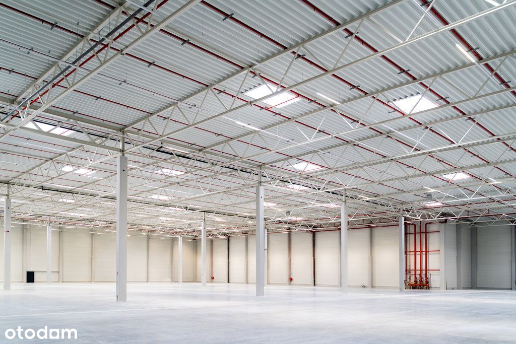 Świebodzin, magazyn od 2 000m2 do 51 000m2