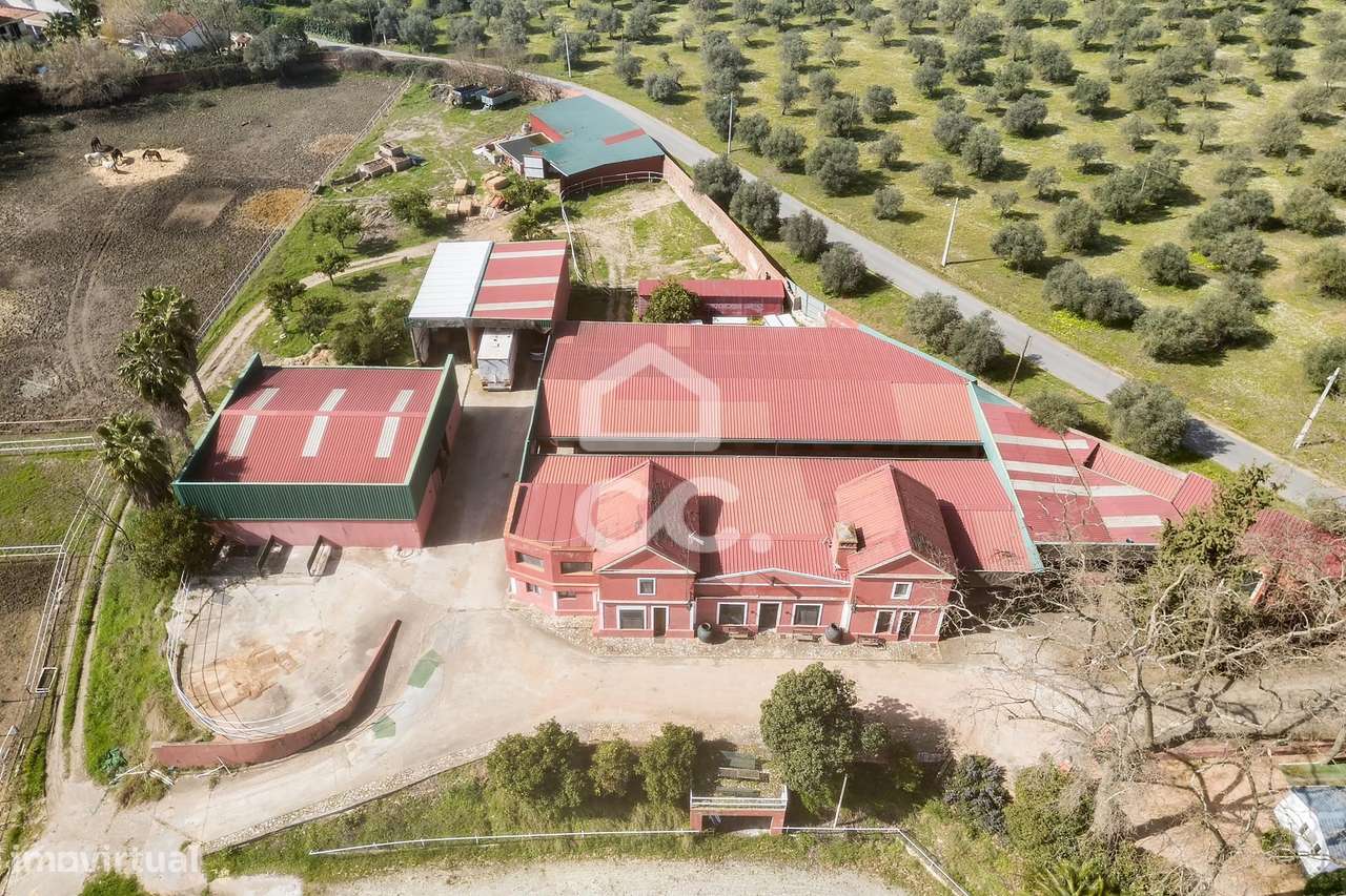 Palacete de inspiração neoclássica francesa com jardim botânico de Jea-10