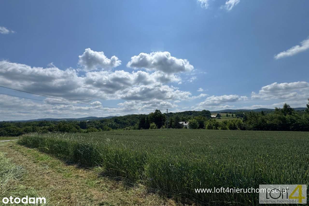 Ostania działka - Tuchów, ul. Ryglicka - Pełny obrazek: 4/17