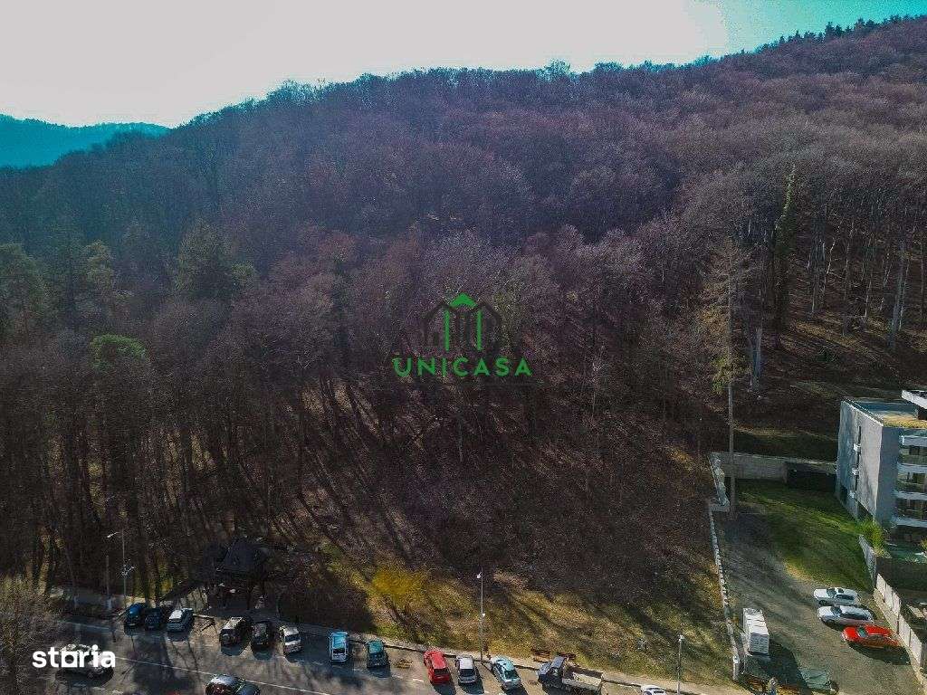 Teren - Caciulata - Deschidere la E81 - Imagine principală: 2/5