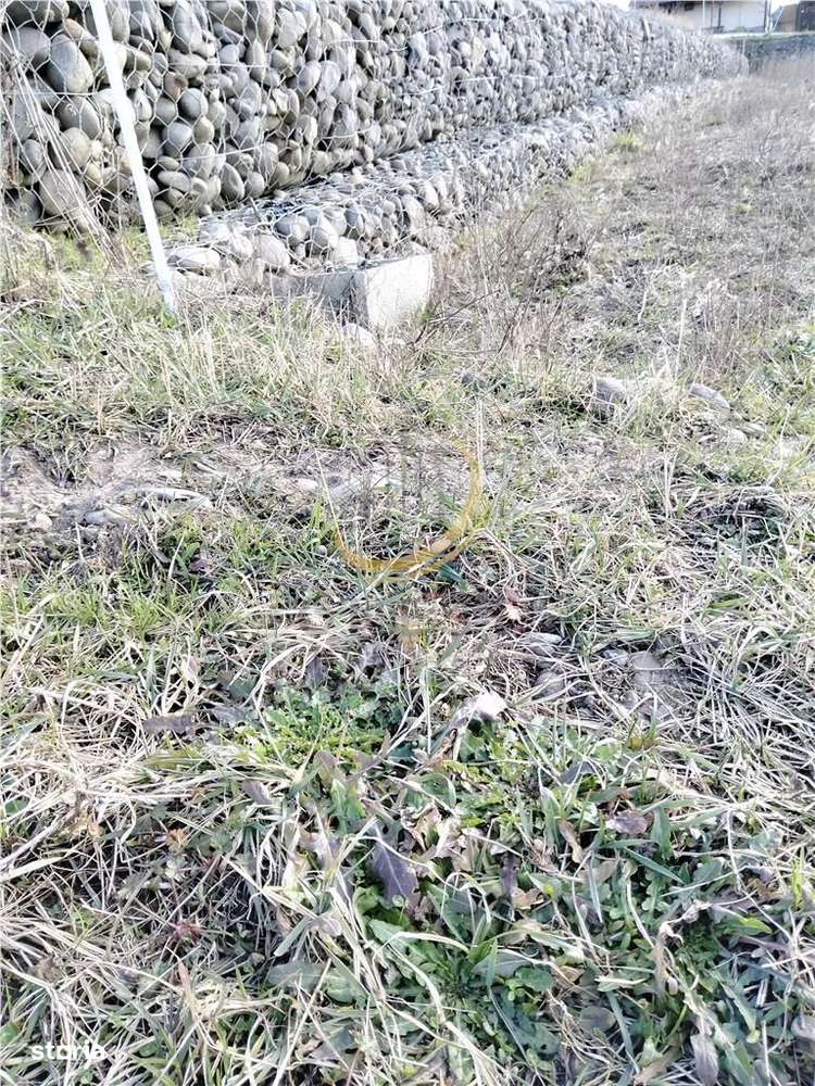 Teren industrial Ernei 1ha cu PUZ-7