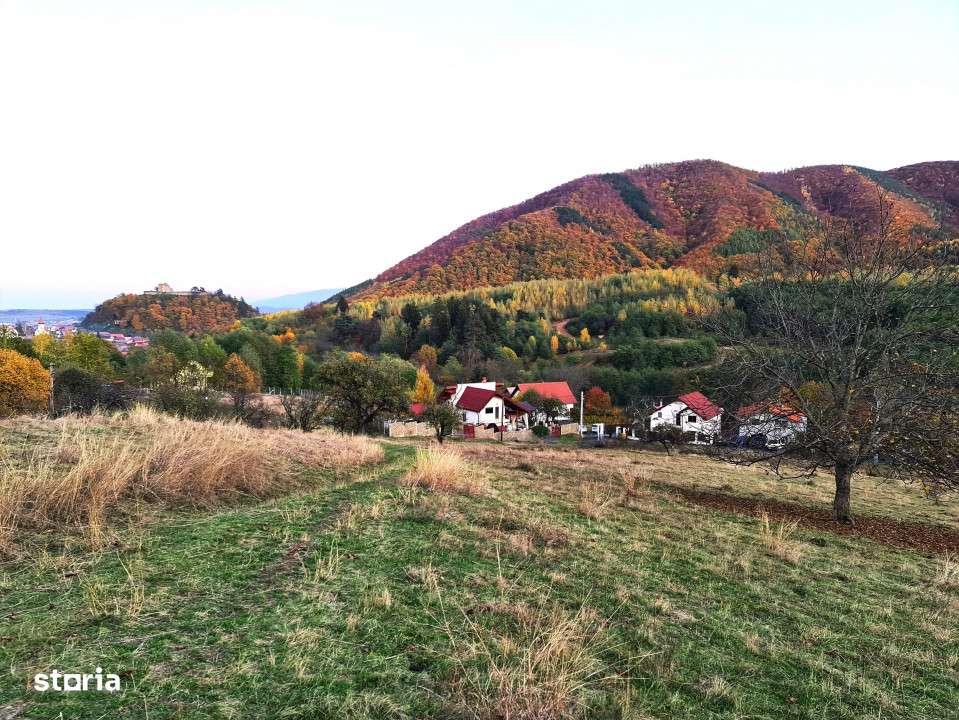 Parcele Teren cu PUZ si toate utilitatile / Cisnadioara-Sibiu - Imagine principală: 1/16