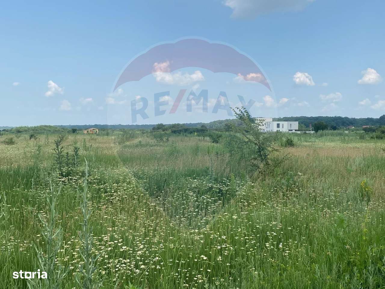 DE VANZARE Teren intravilan 600mp Drumul Piscul Mosului SISESTI-14