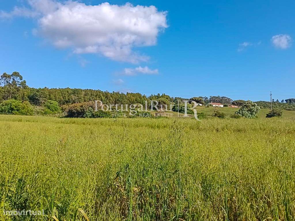 Terreno a 5 minutos das Praias Costa Vicentina Algarve ( NÃO URBANI... - Grande imagem: 2/5