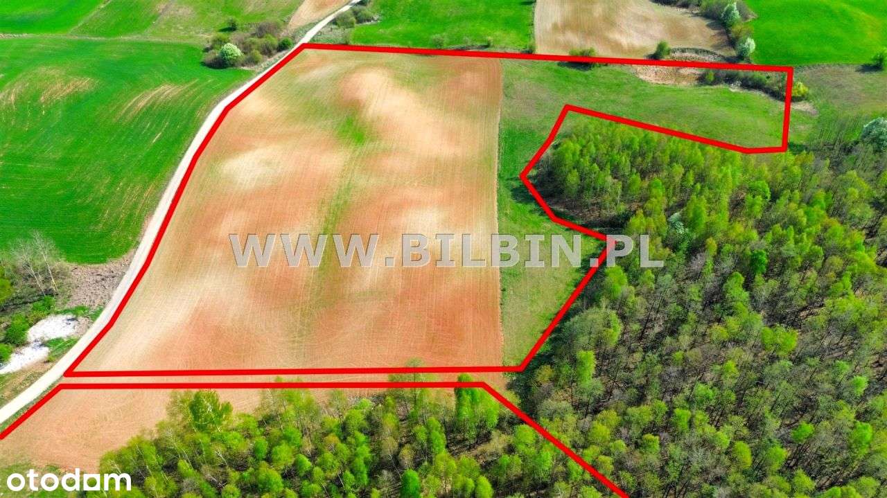 Działka z linią brzegową do jeziora Boczniel ! - Pełny obrazek: 5/17