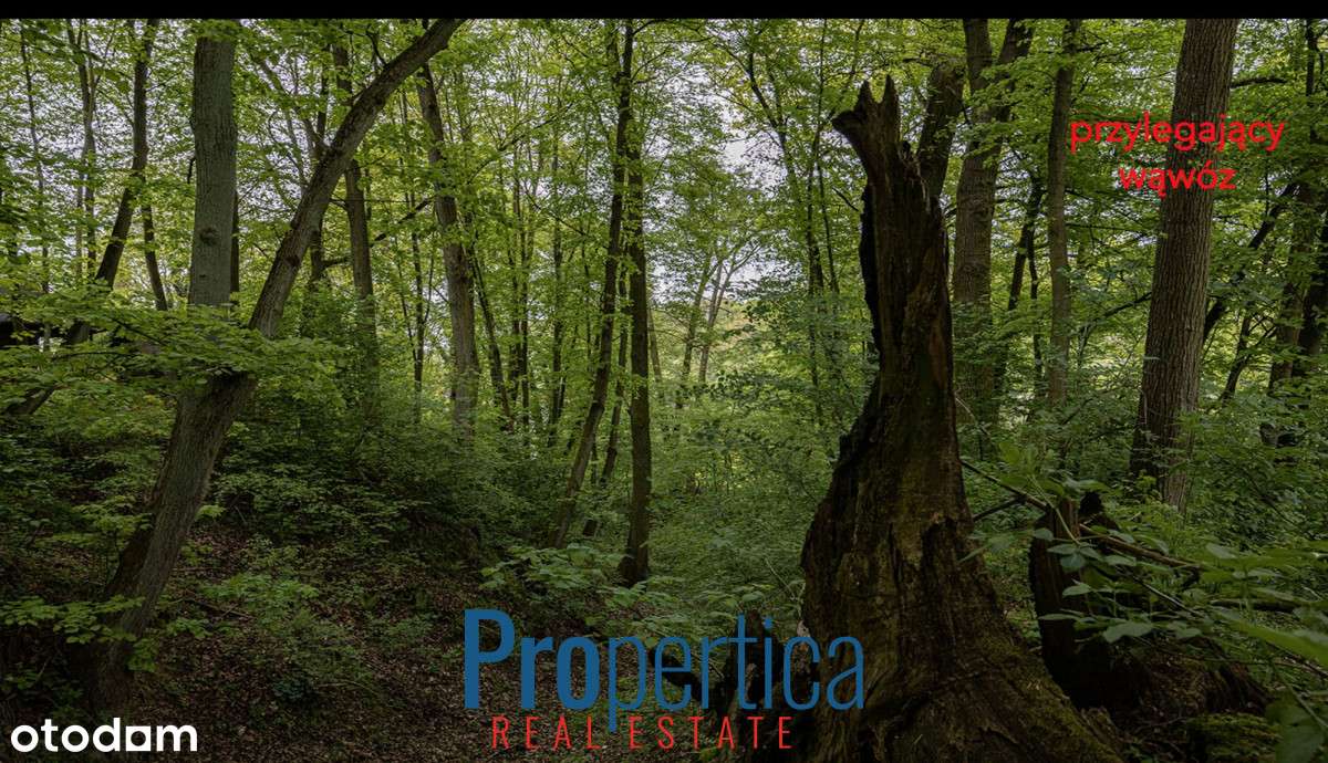Budowlana. Łąka. Las. Wąwóz. 950m od Rynku!-5