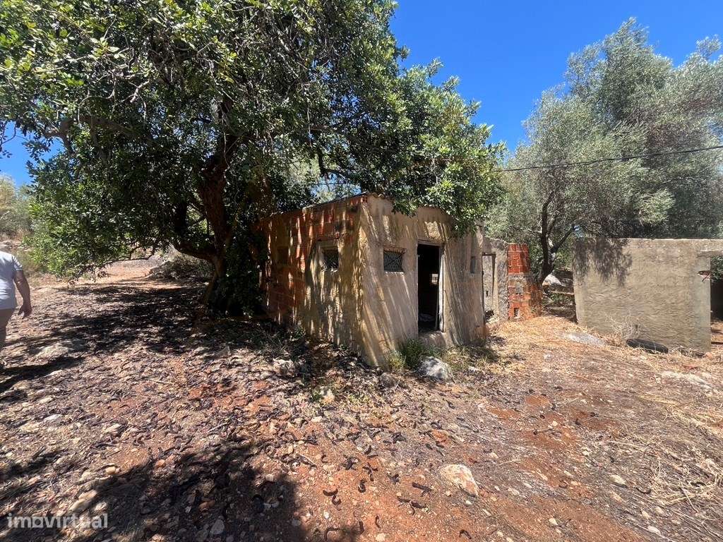 Quinta com duas casas, vistas para o mar e 11.940 m² de terreno em ...-32