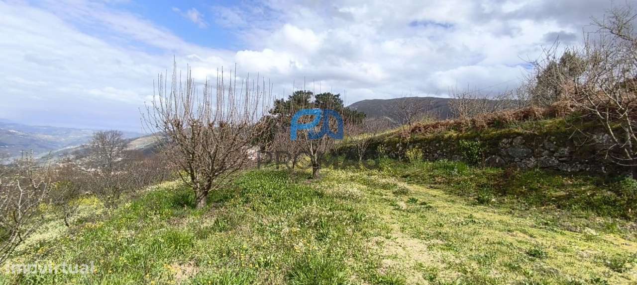 Terreno Urbanizável de 7959 m² com Armazém-24