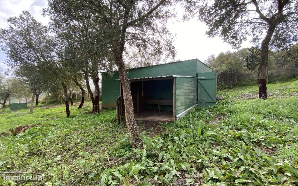 Terreno Rústico com Armazém - Grande imagem: 3/16