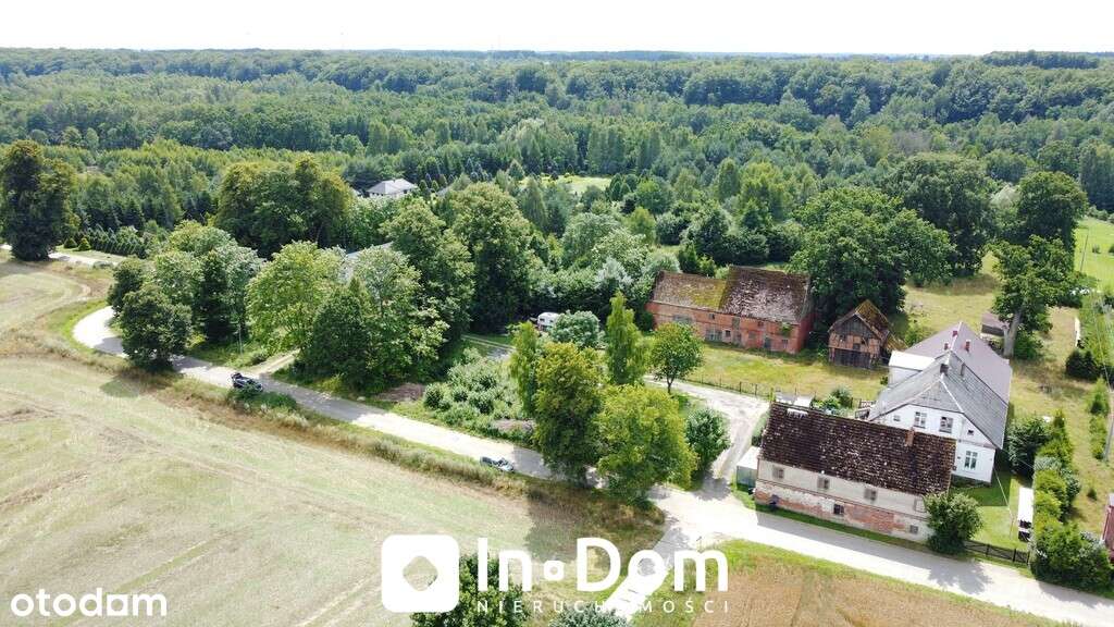 Działka budowlana - Niestkowo. - Pełny obrazek: 4/7