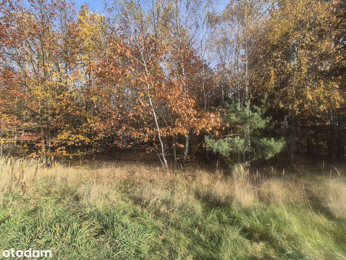 Na sprzedaż działka – Łochynia, gmina Mykanów-9