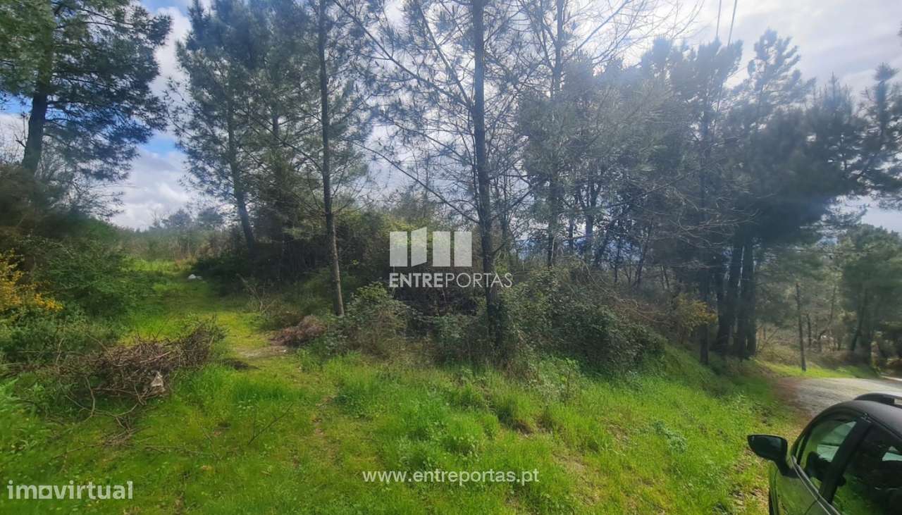 Venda Terreno, Sta. Marinha do Zêzere, Baião - Grande imagem: 3/34