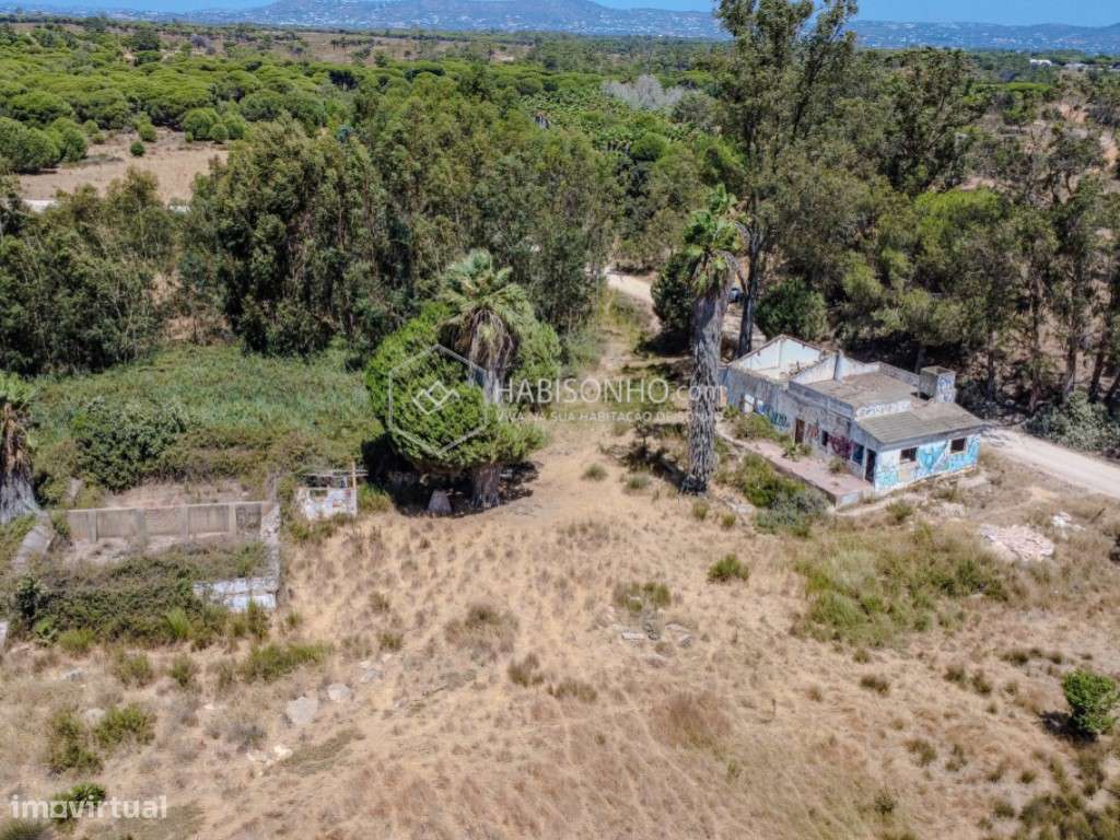 Quinta das Mouras | Faro | Montenegro - Grande imagem: 5/16