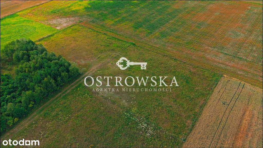 Działka budowalna z decyzją o WZ - Soboklęszcz - Pełny obrazek: 4/7