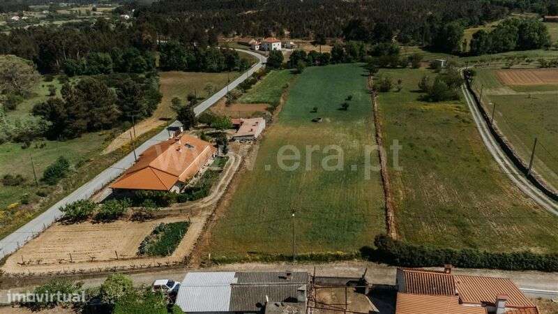Terreno / Fundão, Enxames - Grande imagem: 2/9