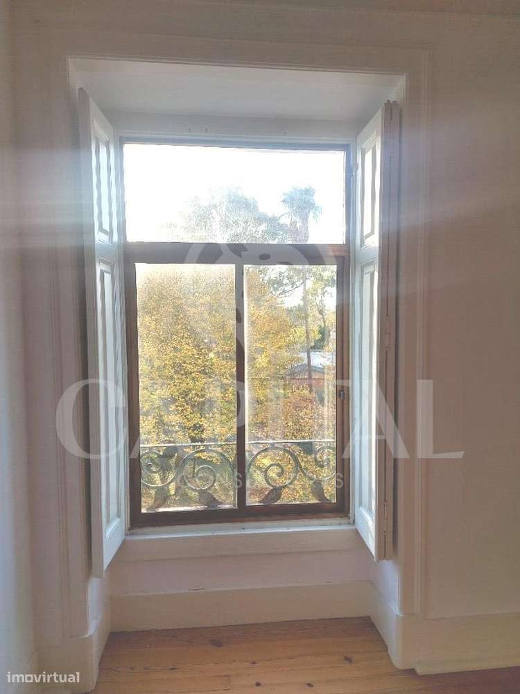 Escritório com 250m2 no Campo Grande - Grande imagem: 4/20